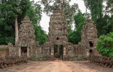 Yosun, Angkor Wat tarihi yeri Siem Reap Kamboçya 'nın yemyeşil ormanındaki Preah Khan Tapınağı' nın dış tasarımı olan taştan giriş kapısını kaplamıştı.