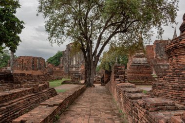 Kırmızı tuğla ve taş tapınak, Siem Reap Kamboçya 'nın yeşil ormanındaki Angkor Wat tarihi parkında karmaşık bir yapı inşa ediyor.