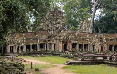 Yosun kaplı yeşil taş bina dış tarafı ve yemyeşil ormandaki Ta Prohm Tomb Raider tapınağının tuğlaları. Angkor Wat tarihi