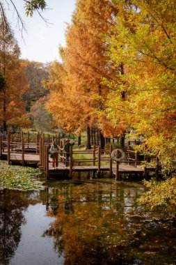 Jinju Güney Kore 'de güzel bir çift ve manzaralı sonbahar yaprakları ve gölet