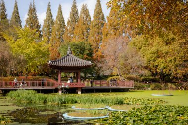 Manzaralı sonbahar yaprakları olan bir gölet kenarındaki güzel pagoda. Fotoğraf Jinju, Güney Kore 'de çekildi.
