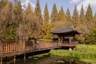 Manzaralı sonbahar yaprakları olan bir gölet kenarındaki güzel pagoda. Fotoğraf Jinju, Güney Kore 'de çekildi.