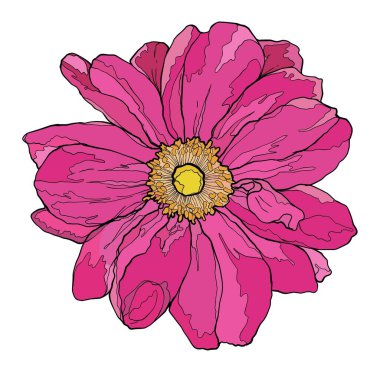 Beyaz arka planda renk çiçeği. vektör illüstrasyonu.