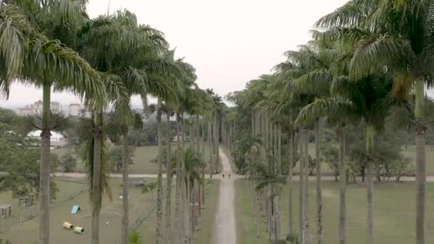 Stadtpark Sao Jose Dos Campos Sao Paulo Brasilien Flug Nach — Stockvideo