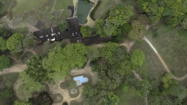 巴西圣保罗圣若泽多斯坎波斯市公园向前飞行 — 图库视频影像