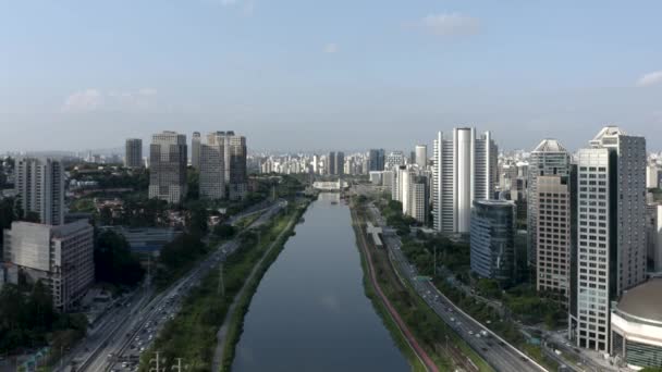 Άποψη Του Οριακού Pinheiros Τον Ποταμό Pinheiros Και Σύγχρονα Κτίρια — Αρχείο Βίντεο