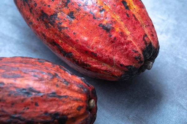 Cacao Fruit Grijze Tafel Van Boven Gezien Vrije Ruimte Fruit — Stockfoto