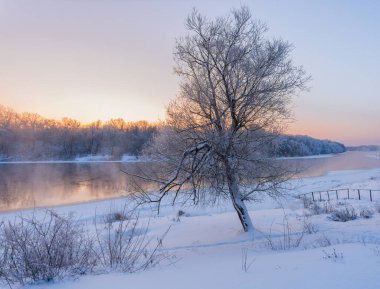 Nehir ve ağaçlarla kaplı kış manzarası