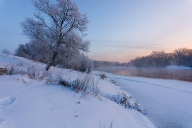Buz kaplı ağaçlar ve karla kaplı nehrin kış manzarası.