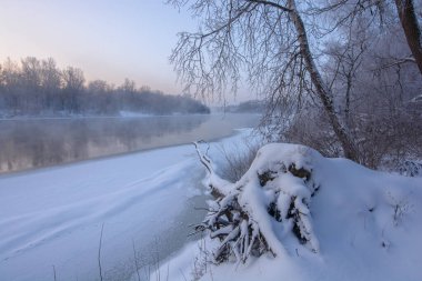 Sabahları donmuş nehir ve ağaçlarla dolu kış manzarası.
