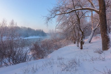 Donmuş nehir kışın karla kaplı ormanla.