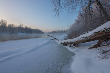 Ormanda buzla kaplı donmuş nehir