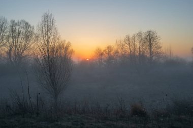 Sabahın erken saatlerinde kırda