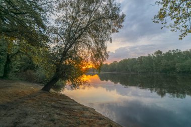 Ormanda gün batımı