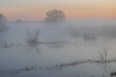 Nehirde sisli bir sabah.