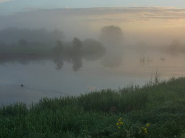 Sis içinde gölün üzerinde gün doğumu