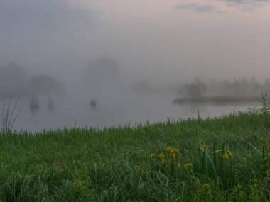 Güzel sabah sisi gölde.