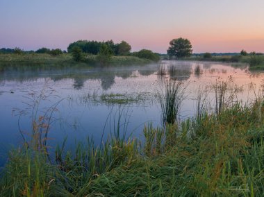 Nehirde yaz günbatımı