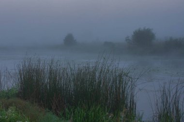 Nehir kıyısında sabah sisi. Sabah sisi. Rusya