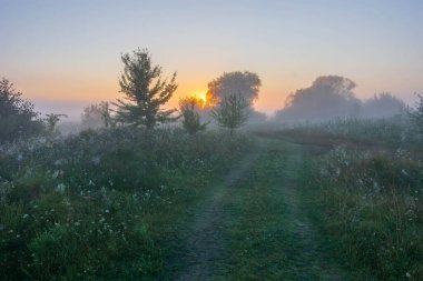 Sabah güneş doğuyor.