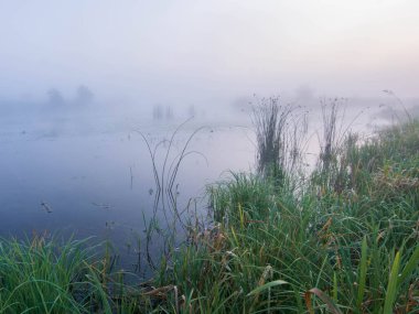 Gölde sabah sisi. Gölün üzerinde şafak.