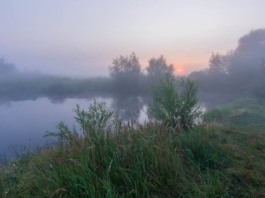 Kırsalda sisli bir sabah