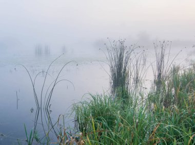 Sabahları nehrin güzel manzarası