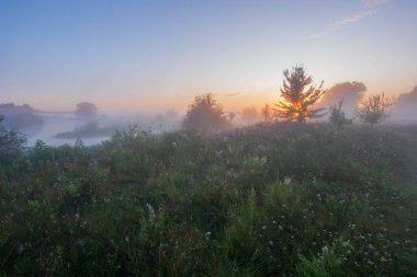 Sisli bir yaz sabahı kırsalda sisli bir güneş doğuyor..