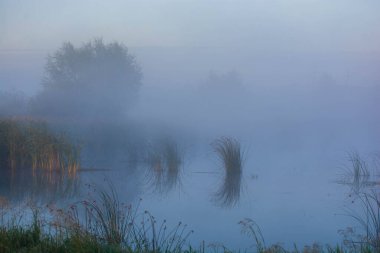 Gölü ve nehri olan güzel bir manzara.