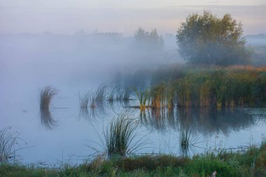 Gündoğumu ve gölü olan güzel bir manzara.