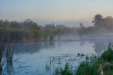 Gölde gün doğumu.