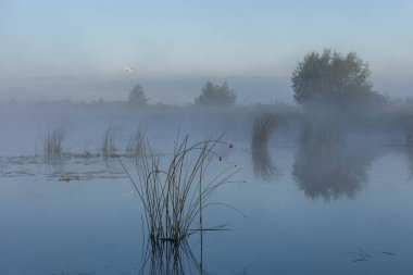 Nehirde sabah sisi ve sisi.