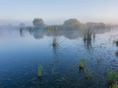Yazın nehirde sabah sisi.