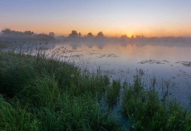 Küçük gölü olan güzel bir sabah manzarası.