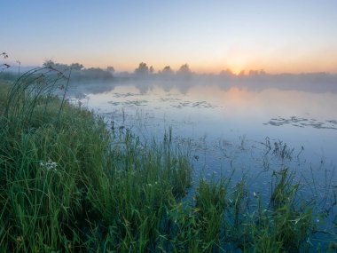 Yazın güzel gün doğumu