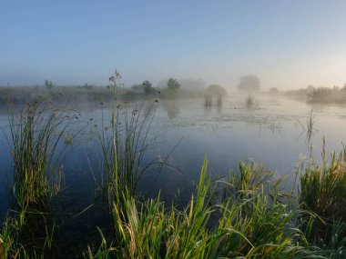 Sabah sisinde nehirde gün doğumu
