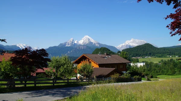 dağlar ve çayırlar yaz peyzaj