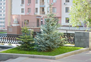 ağaçları ile küçük bir Park