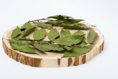 Defne yaprağı üzerinde kesme ağaç beyaz arka plan üzerinde