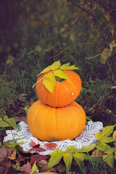 Gelber Kürbis für den Feiertag Halloween im Freien — Stockfoto