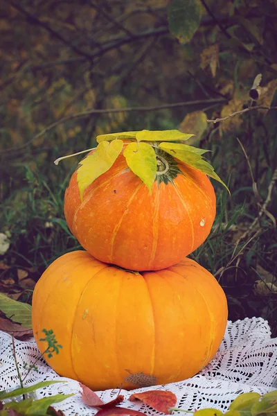 yellow pumpkin for holiday halloween outdoor