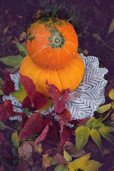 Gelber Kürbis für den Feiertag Halloween im Freien — Stockfoto