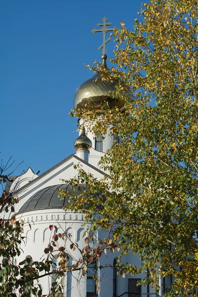 Church Of The Holy Trinity. The Orthodox Church — Stock Photo, Image