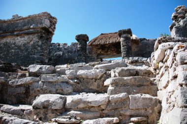 Coba - harabe şehir Meksika