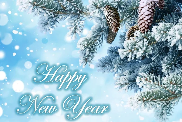 New year greetings — Stock Photo, Image