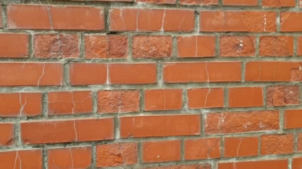 Die Struktur einer alten Ziegelmauer aus braunem Ziegel. Vintage Wall Hintergrund — Stockvideo