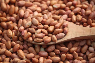 Tahta kaşıkta kurutulmuş fıstık. Yakın plan.