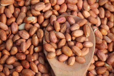 Tahta kaşıkta kurutulmuş fıstık. Yakın plan.