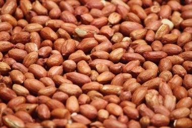 Kırmızı ve beyaz badem fıstıkları, manzarayı kapatın.