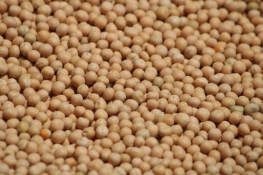 soya fasulyesi, yiyecek ve içecek.